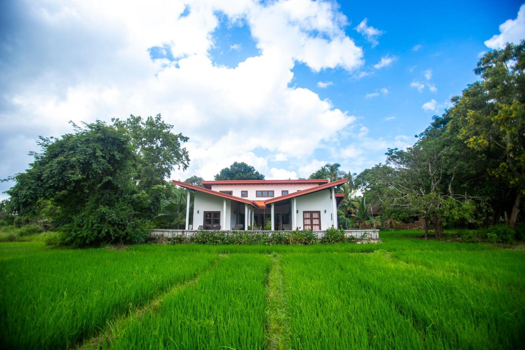 Kumbura Homestay Kibissa Dış mekan fotoğraf